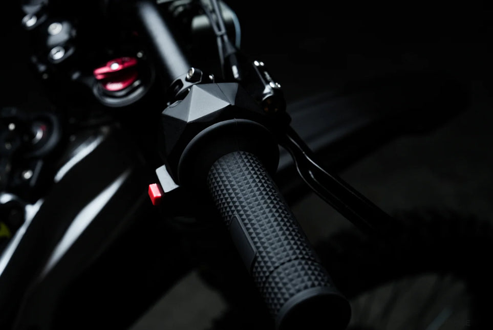 79BIKE Falcon Pro